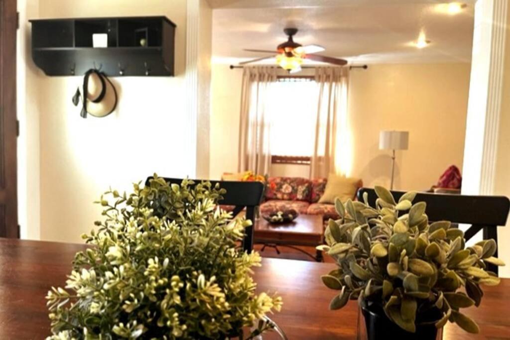 House Close To Downtown, Airport, Raymond James Stadium, And Many More Places タンパ エクステリア 写真