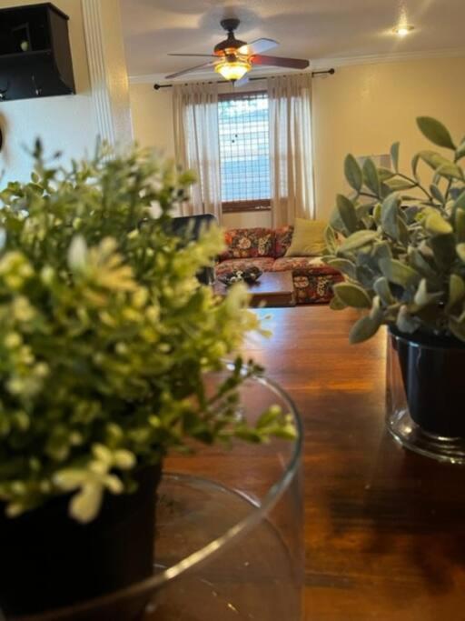 House Close To Downtown, Airport, Raymond James Stadium, And Many More Places タンパ エクステリア 写真